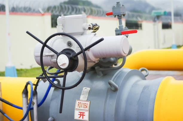 Compressor-Valve