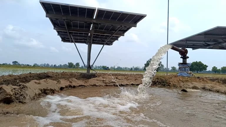 Water pipe