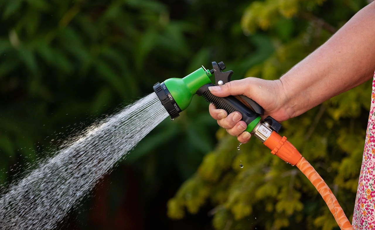 garden hose, water, spray