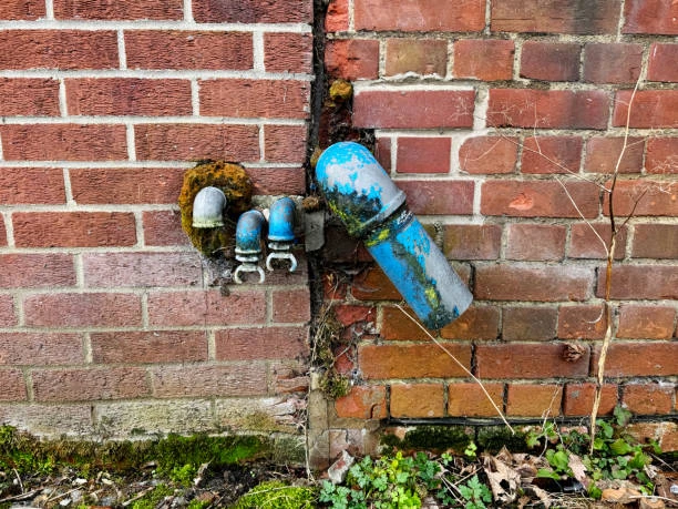 Water pipe