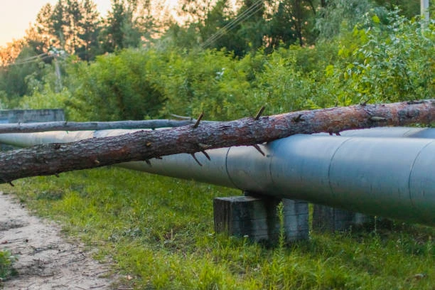 Water Pipe