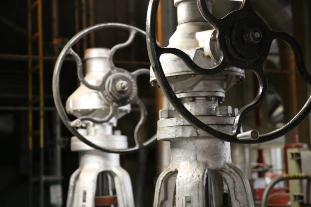 Nuclear Valves