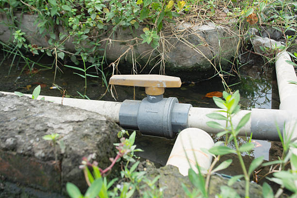 PVC plastic water valve
