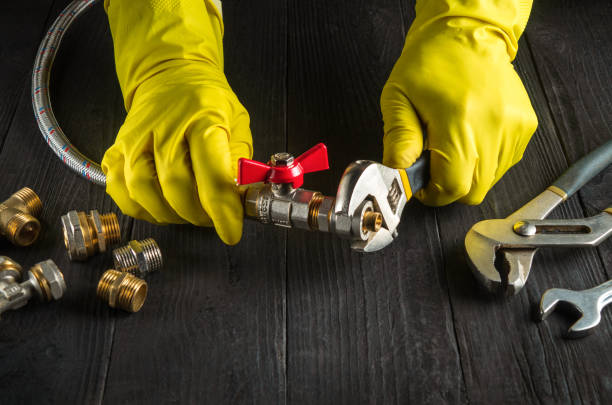 The Competitive Edge of Wire Braided Hoses: Strength, Flexibility, and Market Dominance